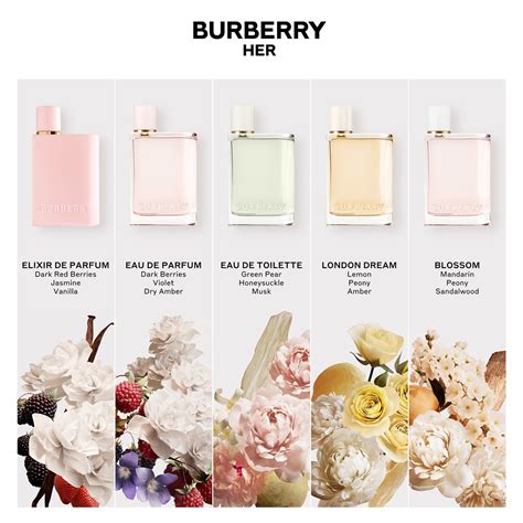 perfume burberry mujer rosa|burberry her perfumes.